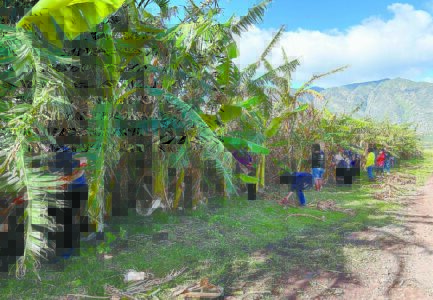 MEO, Employers Option host Humanitarian Job Fair for Maui disaster relief